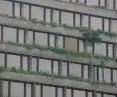 Brutalist facades of the Forum Hotel overgrown with greenery