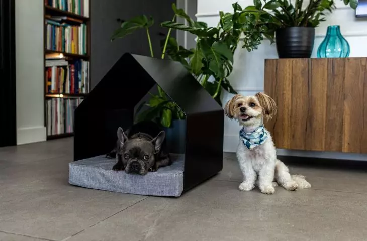 There are currently two models available - the Shiba and the Drever. Their names are inspired by dog breeds