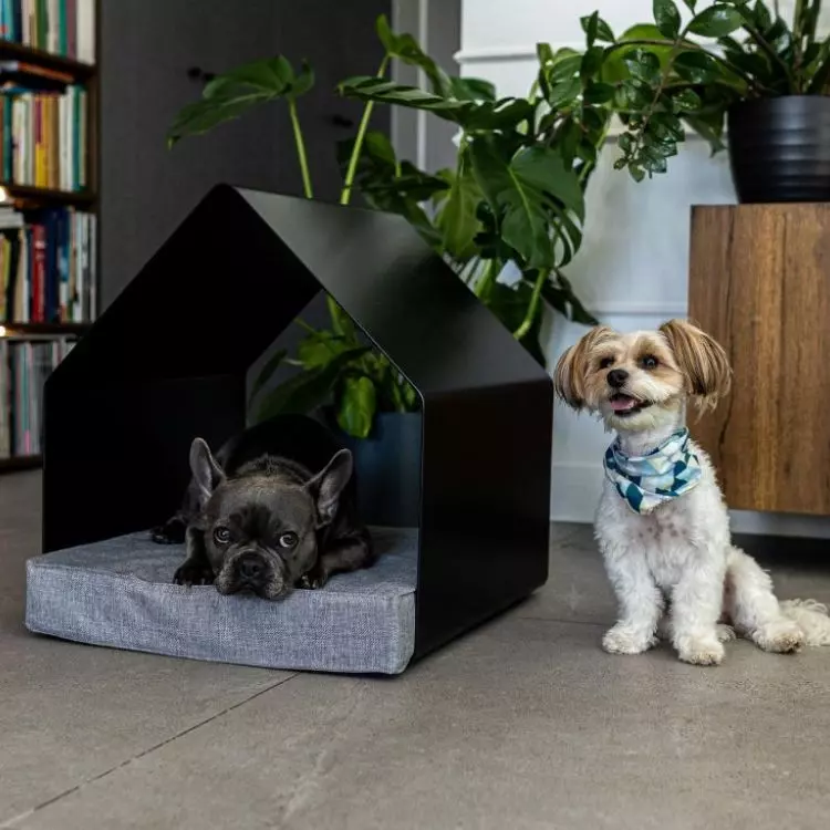 There are currently two models available - the Shiba and the Drever. Their names are inspired by dog breeds