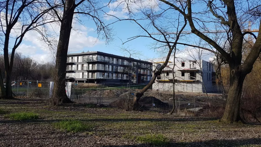 ingerencja
w zielony klin na Sołaczu