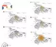 plansza projektu włocławskiego szlaku miejskiego