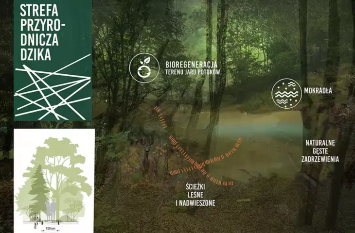 The master plan calls for dividing the park into four zones, including a wild zone - with minimal human interference