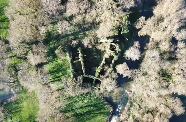 Tree House Module Competition
