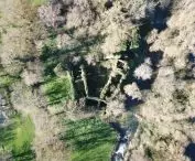 Tree House Module Competition
