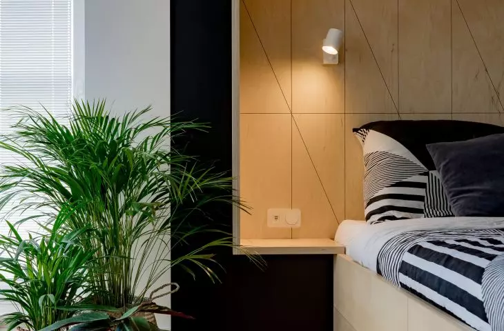 Potted plants add freshness and natural charm to a space