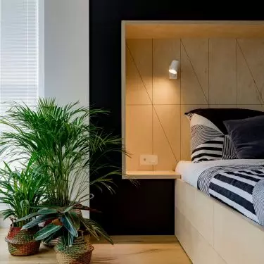 Potted plants add freshness and natural charm to a space