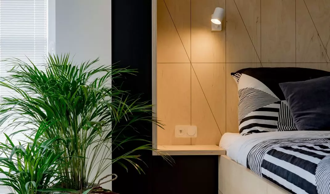 Potted plants add freshness and natural charm to a space