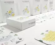  boxes and cards