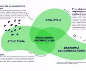 środowisko prewencyjne i jego możliwość wpływu na projektowanie