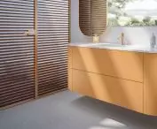 RAUVISIO noir plate collection in twenty colors