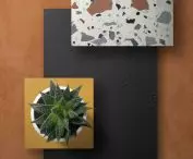 RAUVISIO noir plate collection in twenty colors