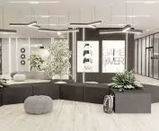 visualization of the entrance area