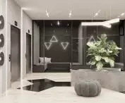 visualization of the entrance area