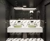 toilet visualization