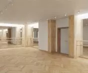 visualization of the ballet room