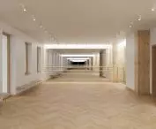 visualization of the ballet room