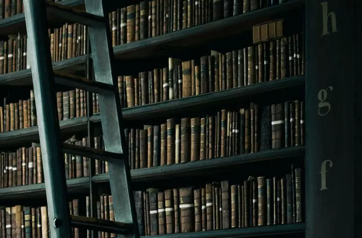 Tall dark wood bookcase is the perfect place to display books