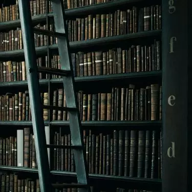 Tall dark wood bookcase is the perfect place to display books