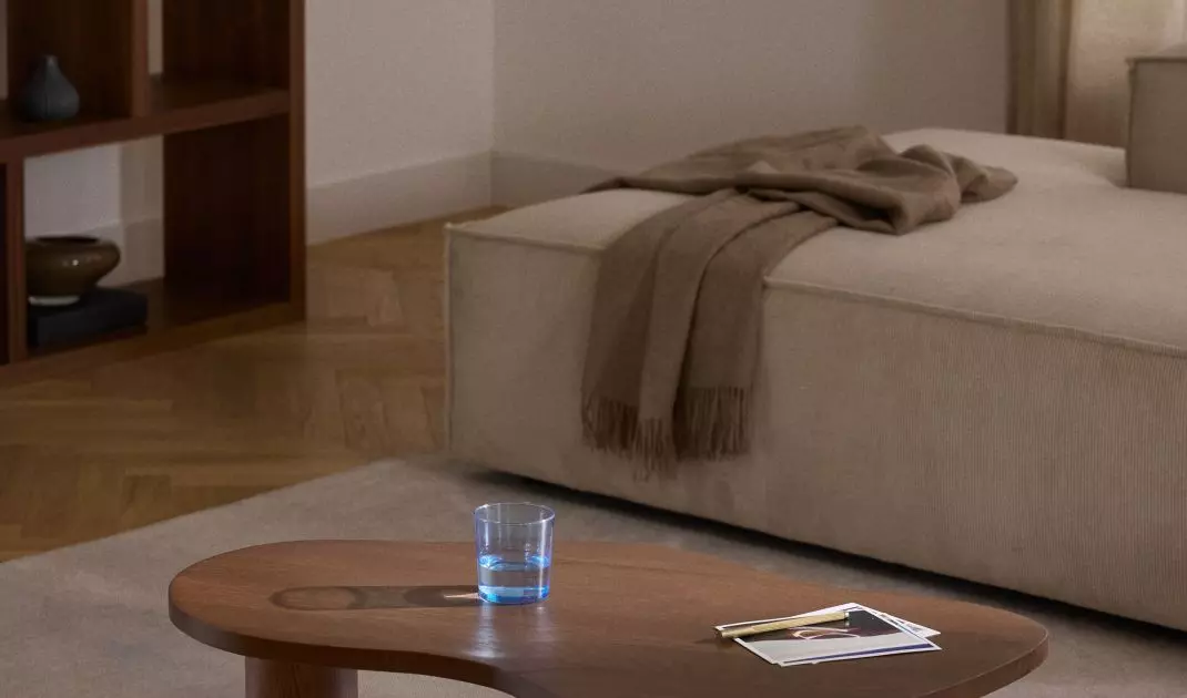 Furniture in shades of dark brown will add elegance to the space