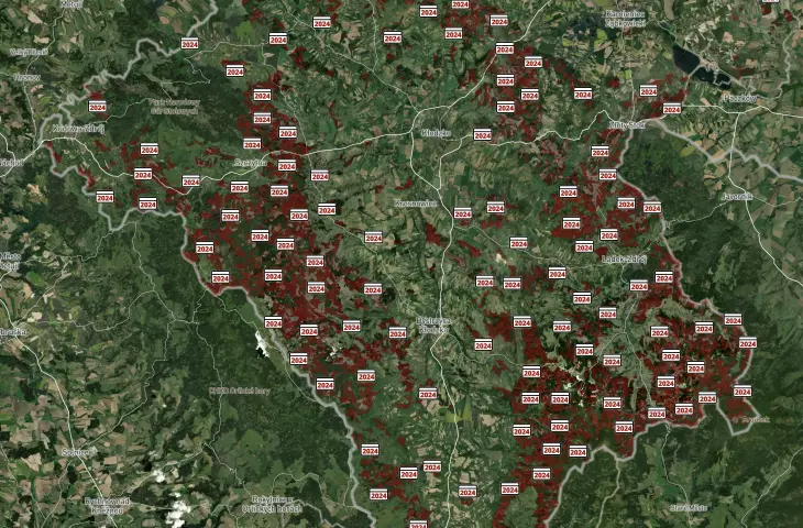 Mapa wycinki lasów 