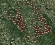 Map of forest clearing 
