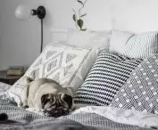 A studio apartment designed by Norest Studio