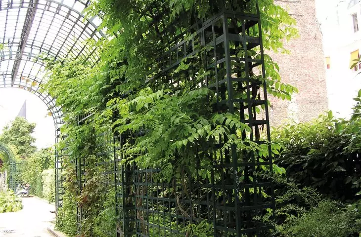 Supports for climbers in Paris' Promenade plantée René-Dumont park, created on a narrow railroad embankment where no trees could be planted