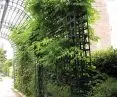 Supports for climbers in Paris' Promenade plantée René-Dumont park, created on a narrow railroad embankment where no trees could be planted