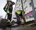 Restoration of the tree stand in Downtown Gdynia