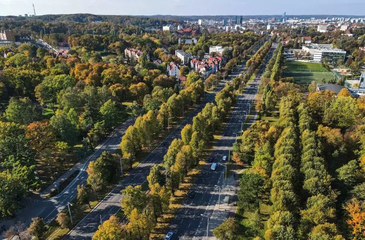 korzenie Wielkiej Alei Lipowej, która dziś czeka na rewaloryzację, sięgają lat 1768–1770