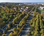 The roots of the Great Linden Avenue, which today awaits revaluation, date back to 1768-1770