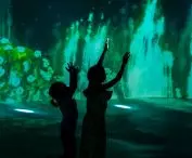 Multimedia show