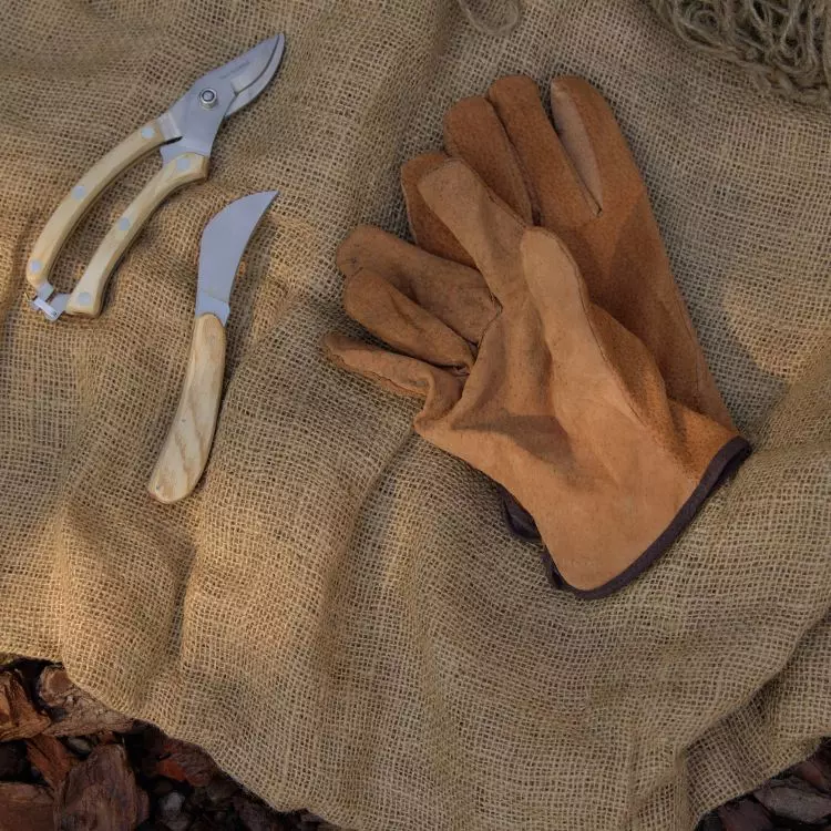 Jute will effectively protect plants from frost