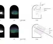IN.VISIBLE project