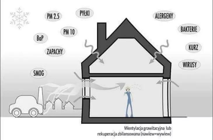 smog shield