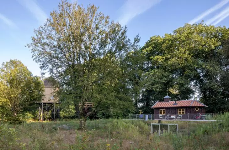 Restored wooden buildings with modern details surrounded by lush vegetation
