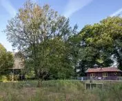 Odrestaurowane drewniane budynki z nowoczesnymi detalami w otoczeniu bujnej roślinności