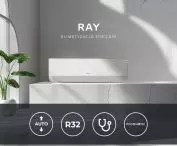 Ray