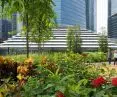 The Apple Store creates new visual and spatial connections between the store's central atrium and the rooftop park, which includes a lush tropical garden and a common lawn surrounding the upper level of the building