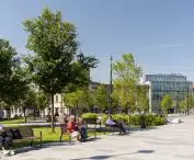 Rewitalizacja Placu Wolności w Łodzi