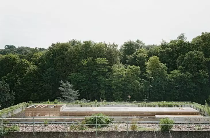 Płaski dach betonowego budynku z drewnianą konstrukcją po środku, otoczony gęstym lasem