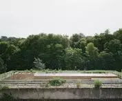 Flat roof of concrete building with wooden structure in the middle, surrounded by dense forest