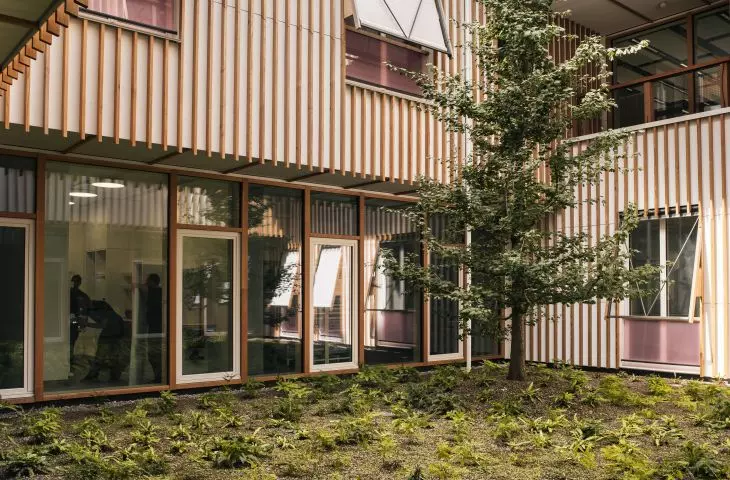 Modern courtyard with wooden walls, plants and a tree growing in the middle