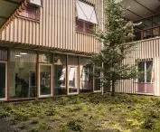 Modern courtyard with wooden walls, plants and a tree growing in the middle