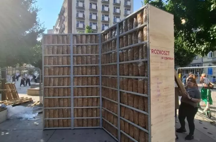 Instalacja Rozkoszt