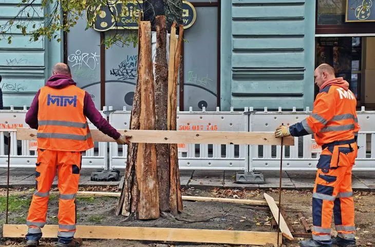 Protection of the old existing greenery was one of the priorities of the city authorities