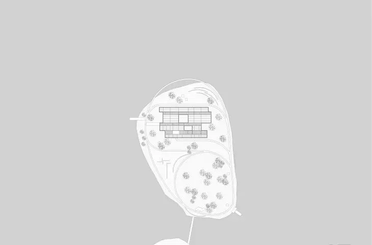 Ginkgo Gallery landscape and pathway design - projection 