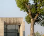 Ginkgo Gallery creates a harmonious relationship with the surrounding nature