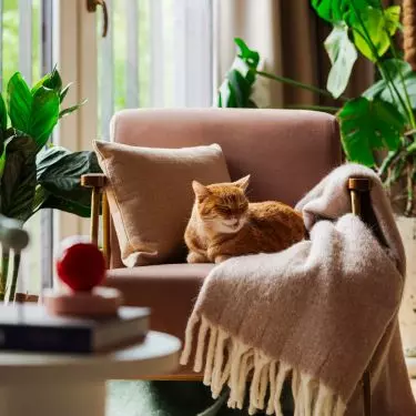 In the interior you will find a mix of vintage and contemporary design elements
