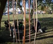 Cyklarium Słoboda - Słowieje 